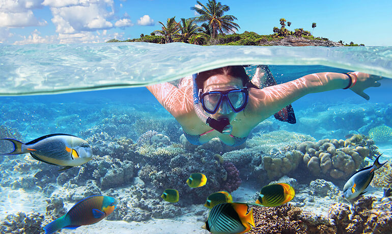snorkeling in the caribbean