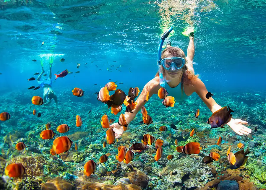 snorkeling in the caribbean