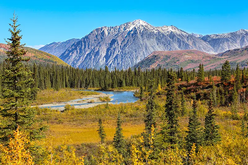 View of Denali National Park in Alaska